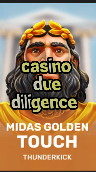 casino due diligence-3xn3u5udepyz9m9w5iat.com