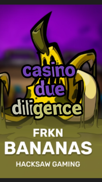 casino due diligence-3xn3u5udepyz9m9w5iat.com